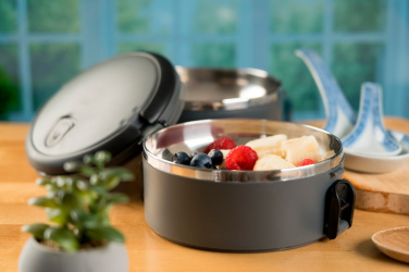 Logotrade promotional giveaways photo of: Lunch box HOME