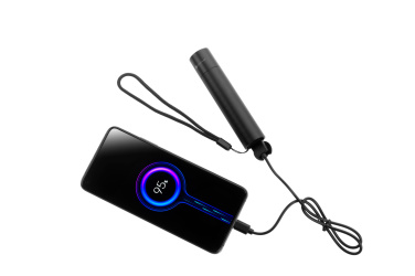 Logo trade corporate gifts image of: Flashflight ZAGROS Schwarzwolf