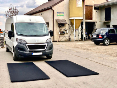 Logo trade business gifts image of: Transit disinfection mat  120x200x4cm 1368087