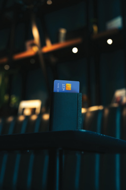 Logo trade promotional merchandise photo of: Seekcard RCS rpolyester card wallet with worldwide locating