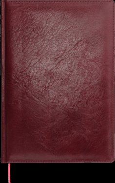 Logo trade liikelahjat tuotekuva: Kalenteri 645131