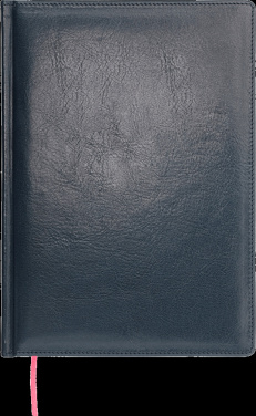 Логотрейд pекламные продукты картинка: Ежедневник 642131